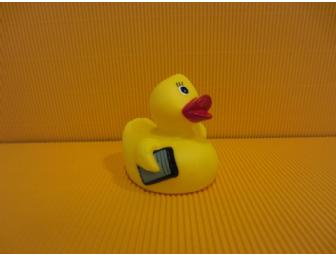 AMC:  Small duck(s) -- Jordi Vilasuso