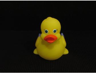 DOOL:  Small duck(s) -- Chandler Massey