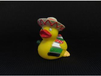 AMC:  Small duck(s) -- Lindsay Hartley