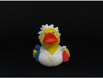 AMC:  Small duck(s) -- Vincent Irizarry