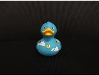 AMC:  Small duck(s) -- 'Half of BAM'