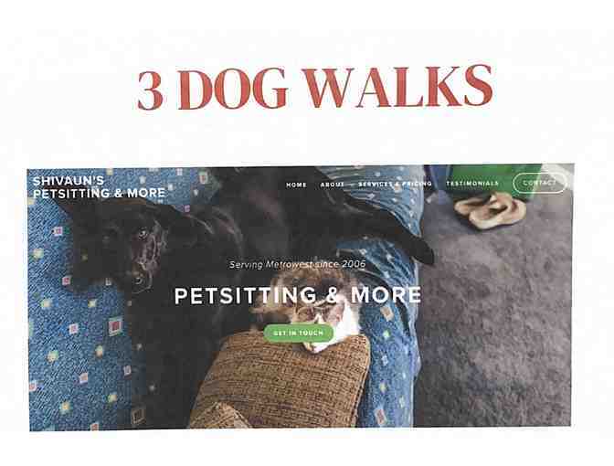 3 Professional Dog Walks: Framingham, Natick, Ashland or Hopkinton - Photo 1