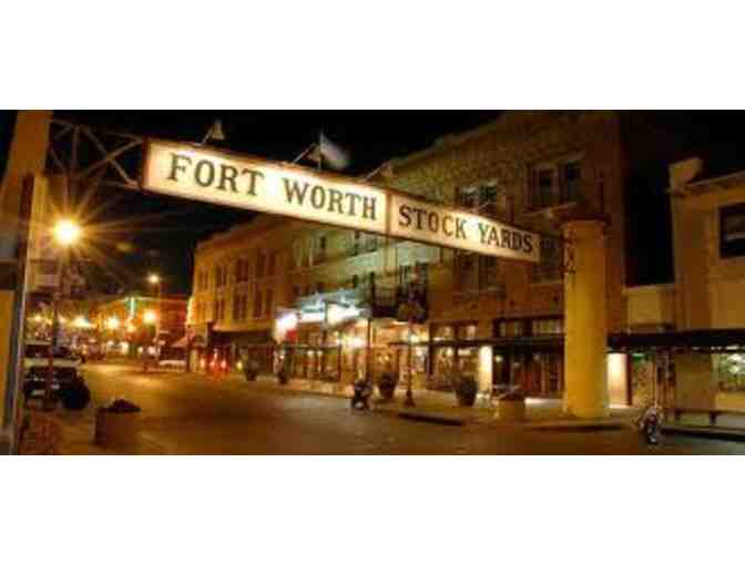 Fort Worth Fun Day-Zoo and The Museum of Science and History