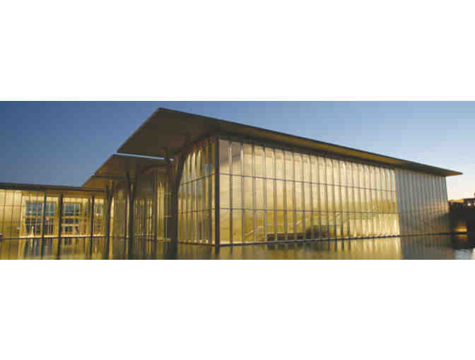 Fort Worth Day of Fun at The Modern Art Museum and Billy Bob's!