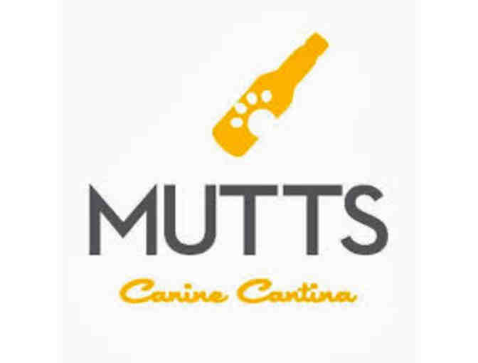 $50 Gift Card to Pet Smart & $25 Gift Card to Mutts Canine Cantina
