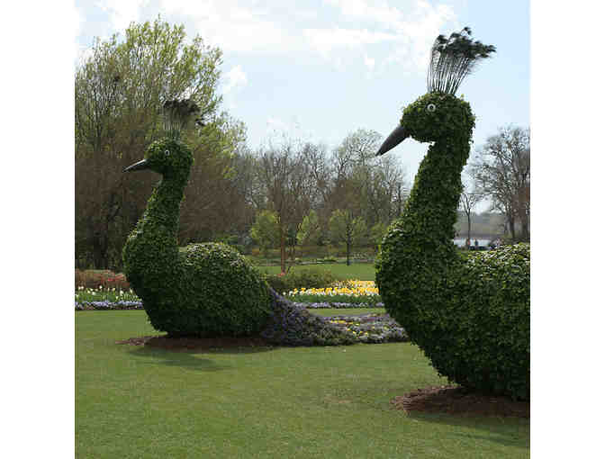 Dallas Arboretum - 4 Passes