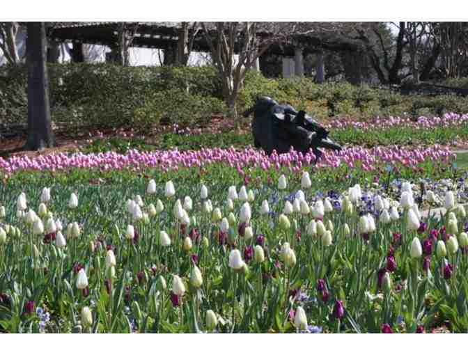 Dallas Arboretum - 4 Passes
