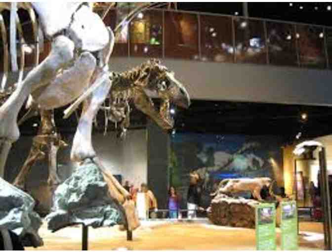 Perot Museum of Nature and Science-Family 4 Pack