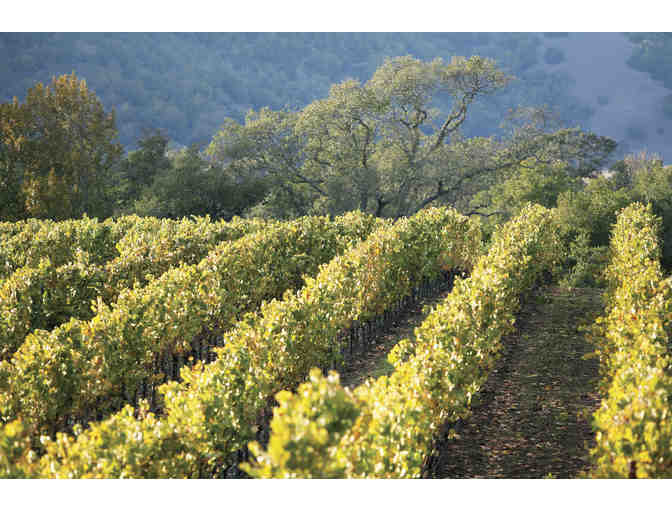 Esacpe to San Francisco & Sonoma-Winery Tours & Tastings,