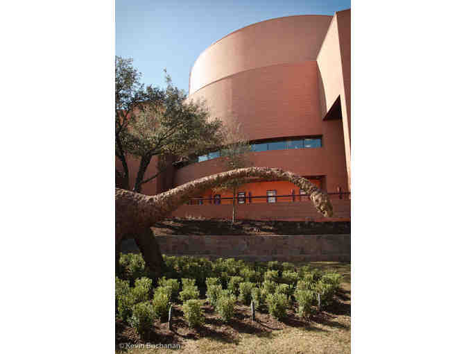 Fort Worth Fun Day- Visit the Fort Worth Zoo and The Museum of Science and History