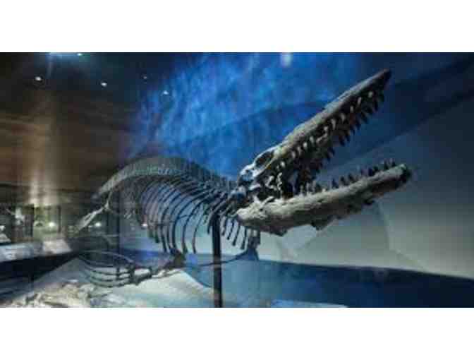 Family 4-pack for Admission to The Perot Museum