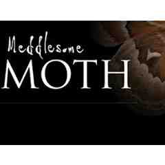 Meddlesome Moth