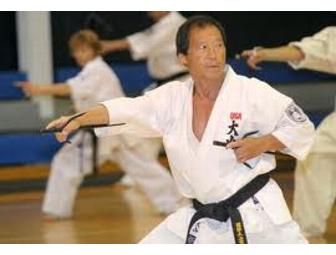 World Oyama Karate - 3 Months Karate Training