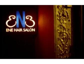 ENE Salon - Haircut and Conditioning Treatment