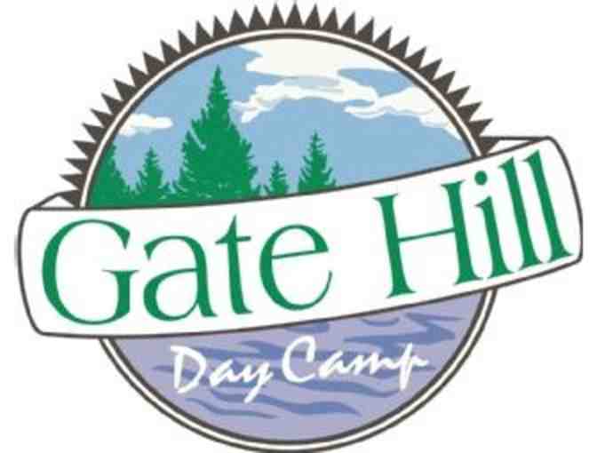 Gate Hill Day Camp - full service party