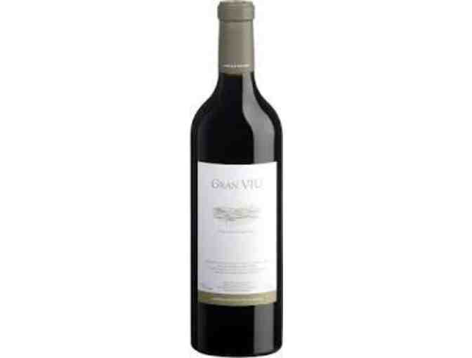 Winedos yBodegas Pablo Gran Viu Finc Santiago 2004