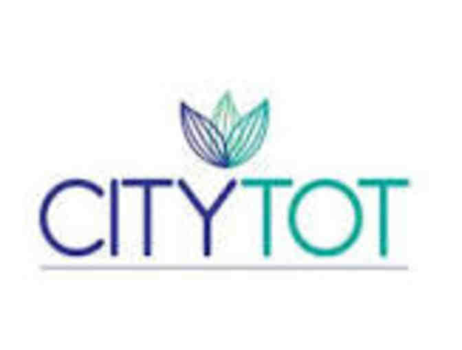CityTot - the TotSpot pass