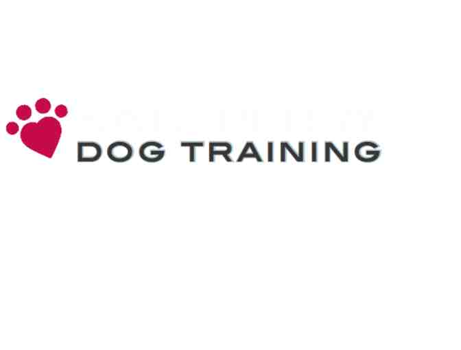 Kate Perry Dog Training