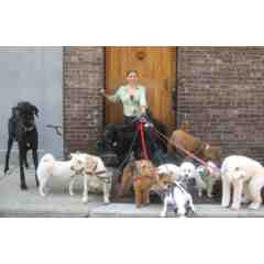 Kate Perry Dog Training