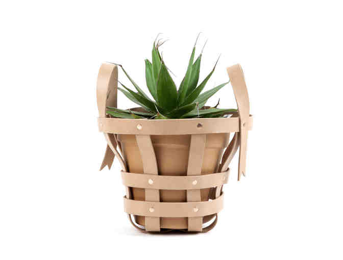 Stap Collection byAmt - planters