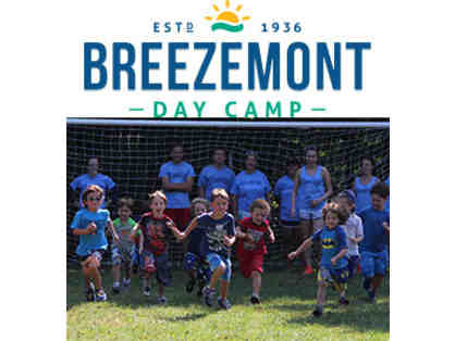 4 Week Session at Breezemont Day Camp