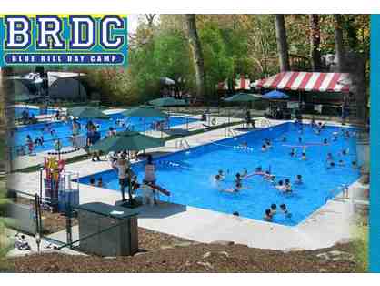 25% Discount On Summer 2017 Tuition at Blue Rill Day Camp