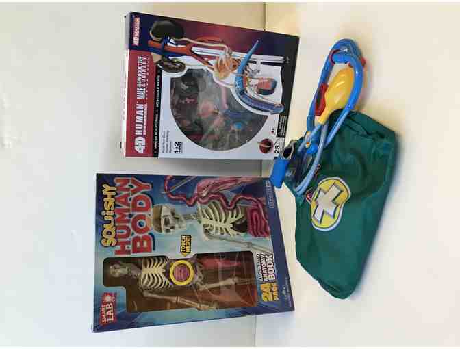Anatomy Toy Bundle! - Photo 3