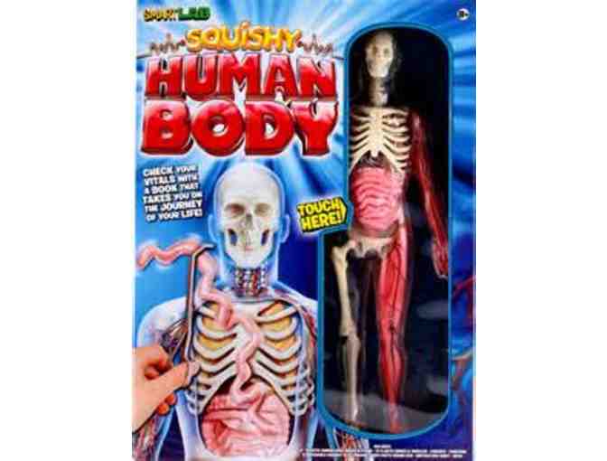 Anatomy Toy Bundle! - Photo 1