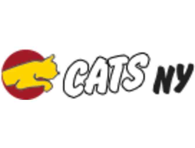CATS! Sports Class  $100 Off