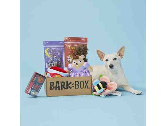 Barkbox for Your Pup - Photo 1