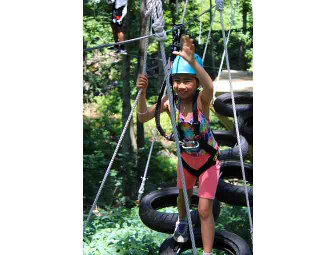Shibley Day Camp - $1000 gift certificate