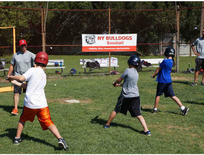 Bulldog Ball Club - One free week of Multi-Sports camp in East Hampton - Photo 3