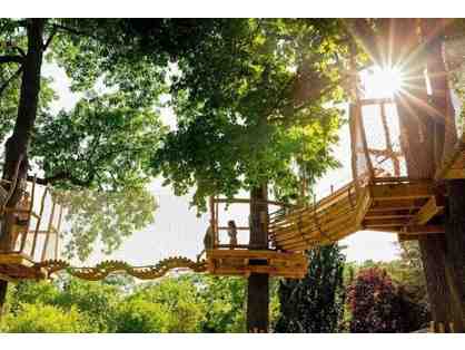 Pierce Country Day Camp - 50% off day camp tuition