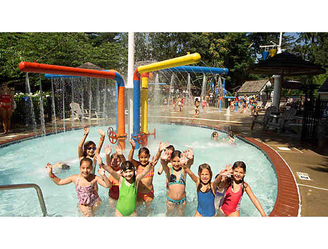 Pierce Country Day Camp - 50% off day camp tuition - Photo 4