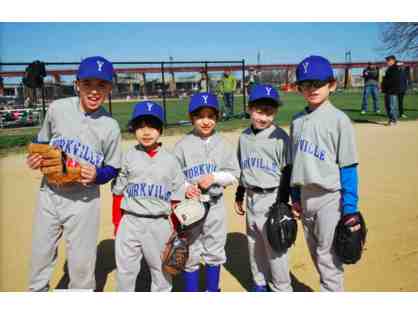 Yorkville Youth Athletic Assocation - One free spot in Spring Baseball League
