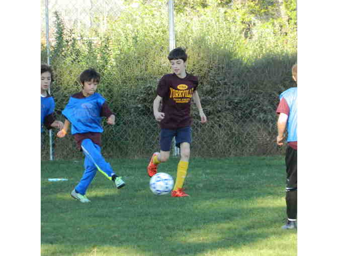 Yorkville Youth Athletic Assocation - One free spot in Fall Soccer program