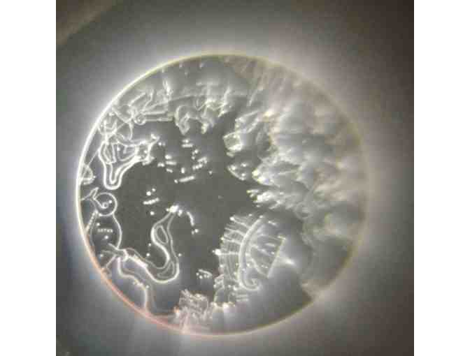 Jewelry - Nugget Necklace by Jill Aldrich from The Primary Essentials