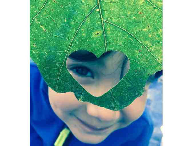 Brooklyn Nature Days - One Week of Summer Camp