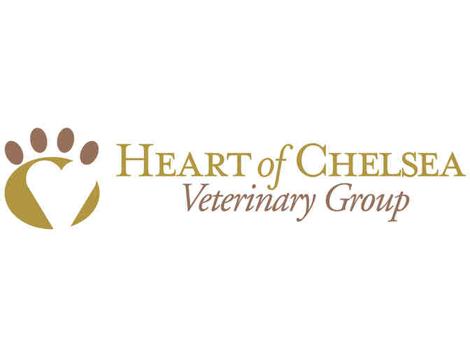 Chelsea Veterinary Group - $250 Credit - Photo 1