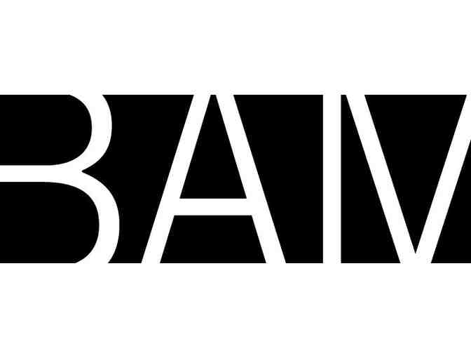 Level 1 BAM Membership (Brooklyn Academy of Music) - Photo 1