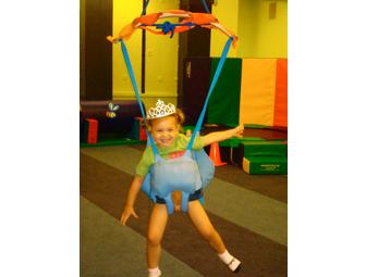 Playgarden Blowout Birthday Bash for 25 Kids