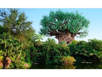 Walt Disney World, 4 One-Day Park Hopper Passes ($500+ value)