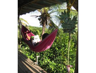 La Finca Caribe Ecolodge in Vieques, PR (2 people)