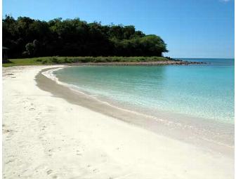 La Finca Caribe Ecolodge in Vieques, PR (2 people)