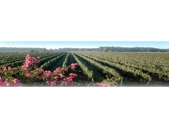 VIP Wine Tasting For Six at Martha Clara Vineyards