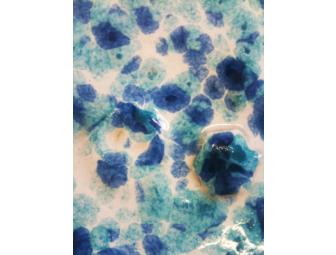 Handmade Ceramic Serving Platter from Arielle's K/1 Class