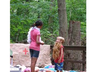 New Country Day Camp/14th Street YMHA - $300 off Summer 2011 tuition