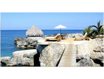 Life Of Reilly Organizers to Organizational Your Home for 3 Hours