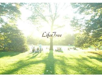 1 Raindrop Aromatherapy Massage Session (90 min.)