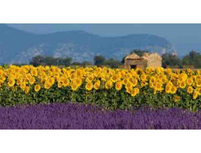 One (1) Week Stay in Provence, France